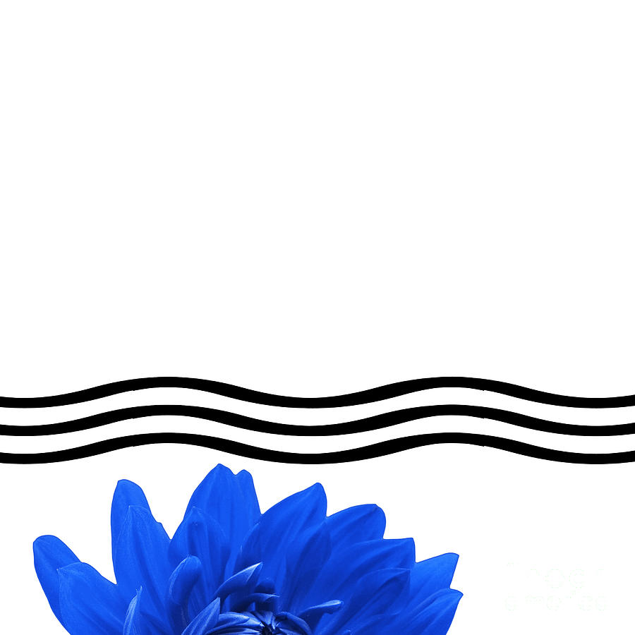 900x900 Wavy Line Clipart
