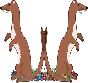 300x285 Letter W Is For Weasel, A Letter Of The Alphabet