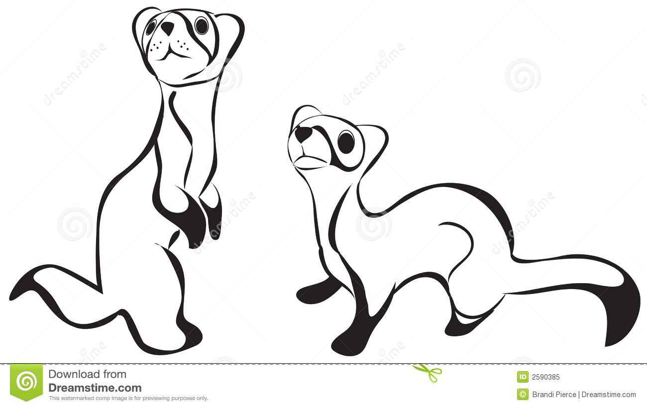 1300x820 Top 88 Weasel Clipart