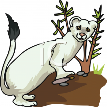 350x349 Top 89 Weasel Clip Art