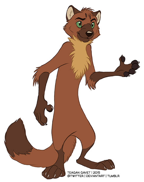 488x615 Weasel Clipart Marten