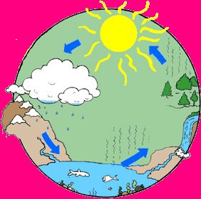 282x280 82 Best Water Cycle Images Weather, Diy And Autism