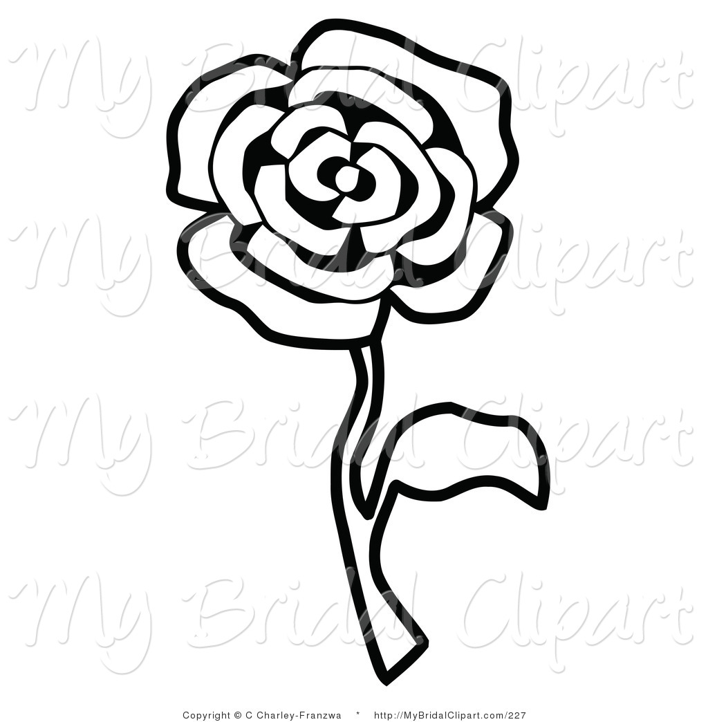 1024x1044 White Rose Border Clipart
