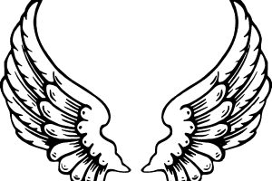 300x200 Wedding Clipart Borders Png 1 Clipart Station