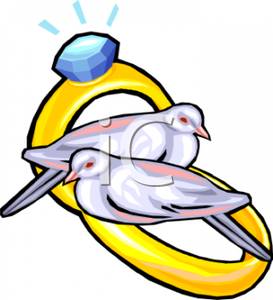 273x300 Art Image Two White Doves And Wedding Rings