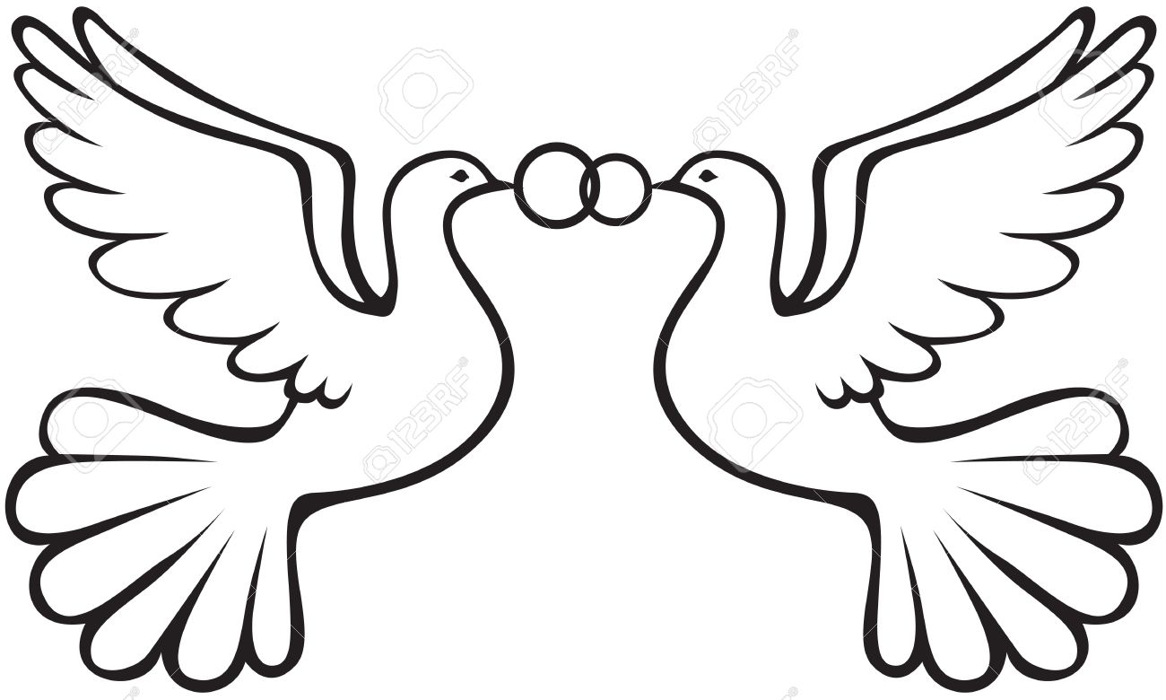 1300x780 A Pair Of Wedding White Doves Are Wedding Rings Royalty Free