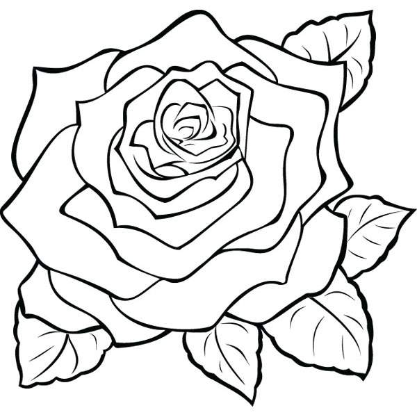 600x600 Full Red Rose Wedding Anniversary Clip Art For Custom Gifts