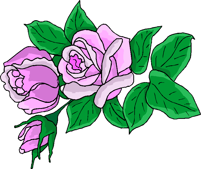 766x644 Wedding Pink Roses Clipart