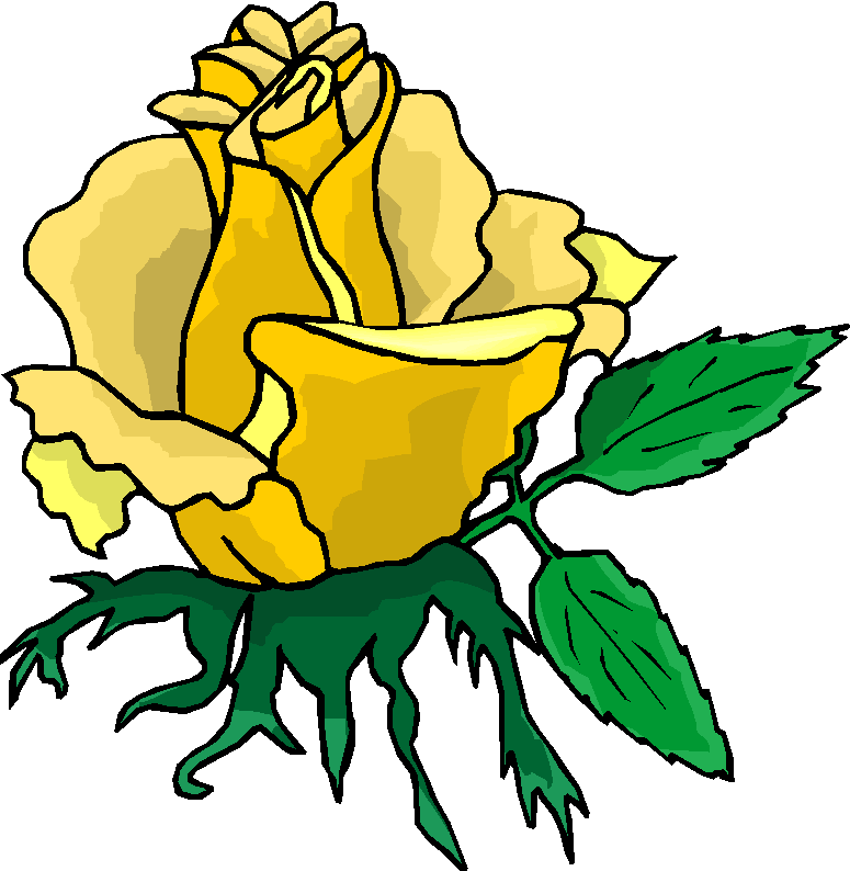 775x794 Yellow Rose Clipart Wedding