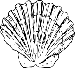 300x272 Coral Clipart Black And White Clipart Panda