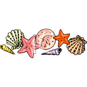 300x300 Shell Clipart Border
