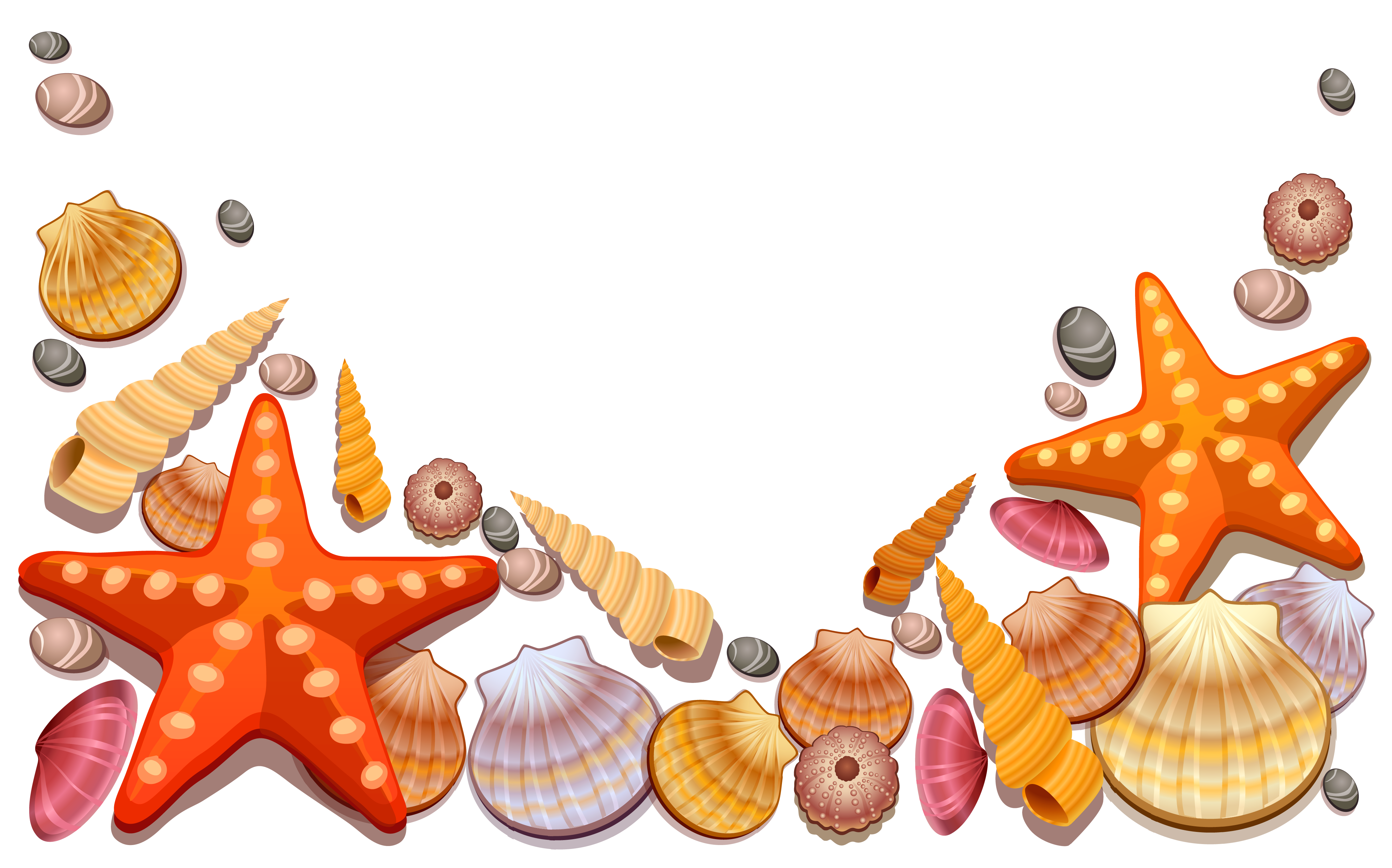 4242x2645 Shell Clipart Border
