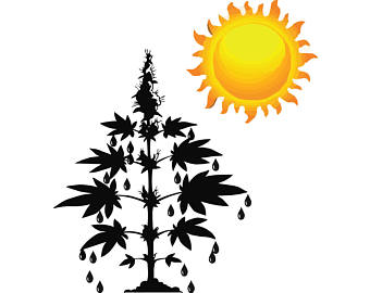 340x270 Marijuana Joint Etsy