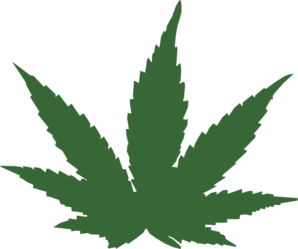 298x249 Marijuana Leaf Clip Art
