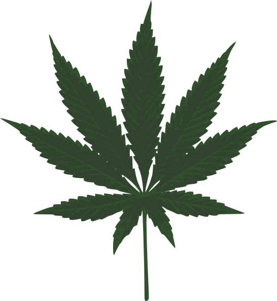 546x594 Marijuana Leaf Png