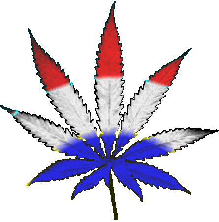 445x451 Weed Clipart Leaf Art