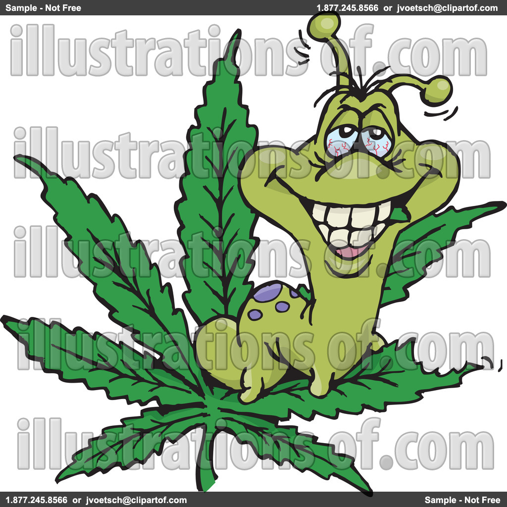 1024x1024 86 Weed 20clipart Tiny Clipart