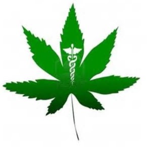 291x291 Cannabis Seeds Exchange Swap