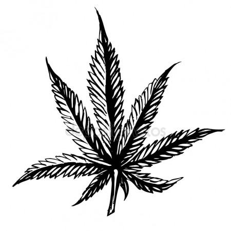 450x450 Cannabis Leaves Sketch Hand Drawn Isolated On White Background