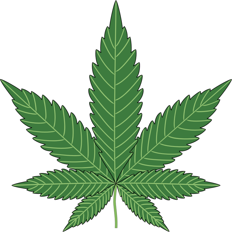 792x791 Drawn Pot Plant Weed Leaf