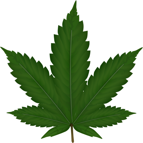 600x601 Marijuana Drawings Clipart 2168581