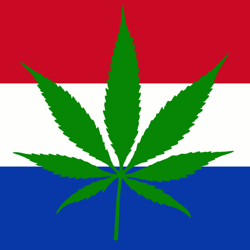 800x800 5 Myths About Dutch Weed