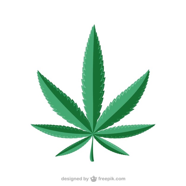626x626 Marijuana Vectors, Photos And Psd Files Free Download