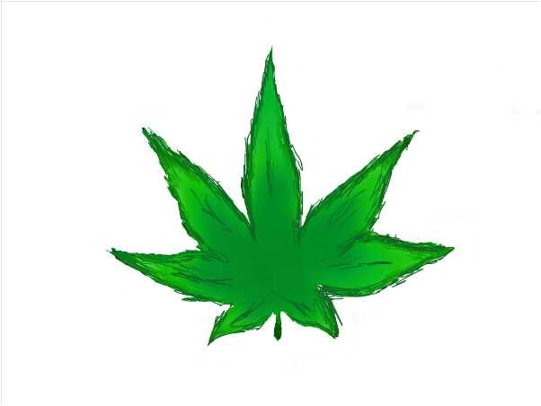 602x452 Top 10 Cartoon Marijuana Leaf