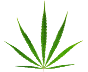 180x148 Cannabis Weed Leaf Png Free Images