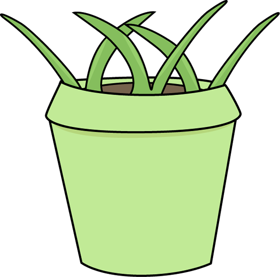 556x550 Flower Pot With Weeds Clip Art