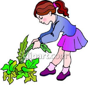 300x290 Pulling Weeds Clipart