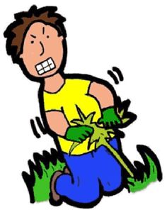 236x313 Tips And Tricks On How To Get Rid Of Weeds. Real Estate Now