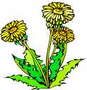 123x128 Weeds Clip Art