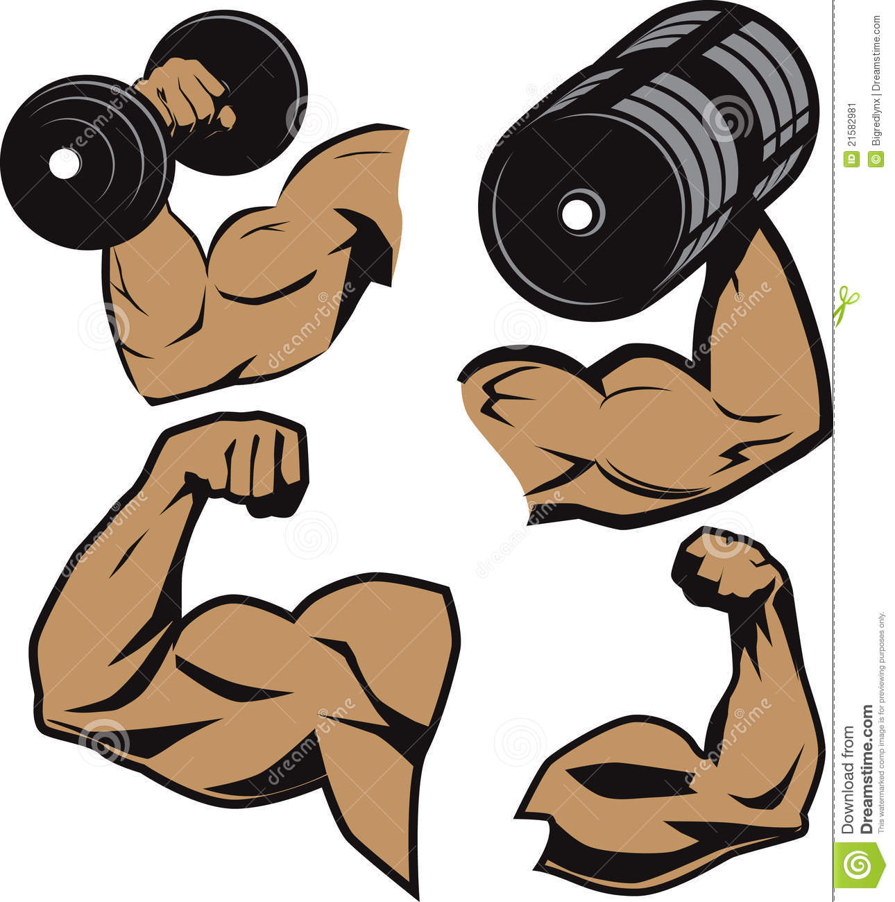 1290x1300 Flexing Muscle Clipart