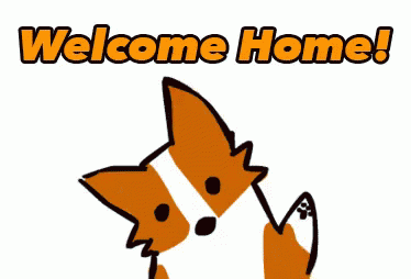 374x254 Welcome Home Gifs ~ Browse, Copy, Amp Share For Free