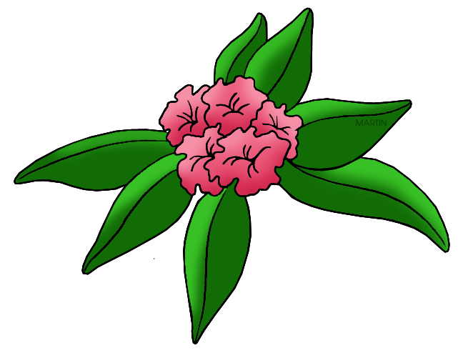 648x501 United States Clip Art By Phillip Martin, State Flower