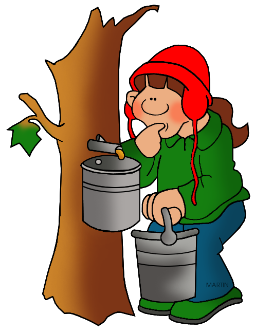 531x648 United States Clip Art By Phillip Martin, West Virginia State Tree