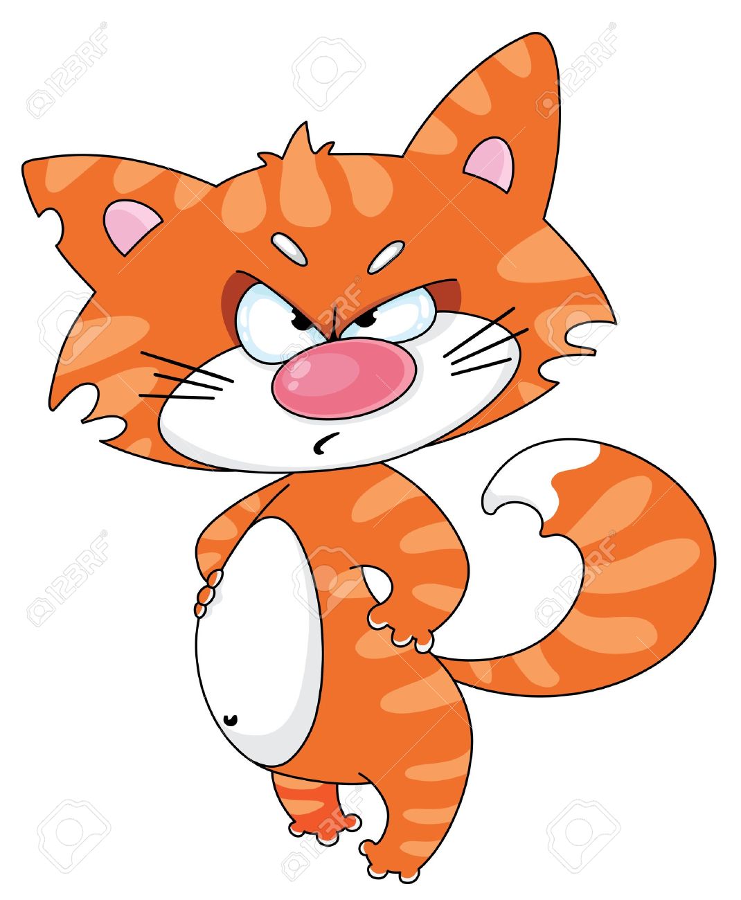 1070x1300 Orange Cartoon Cat