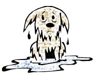 192x150 Pet Clipart Wet
