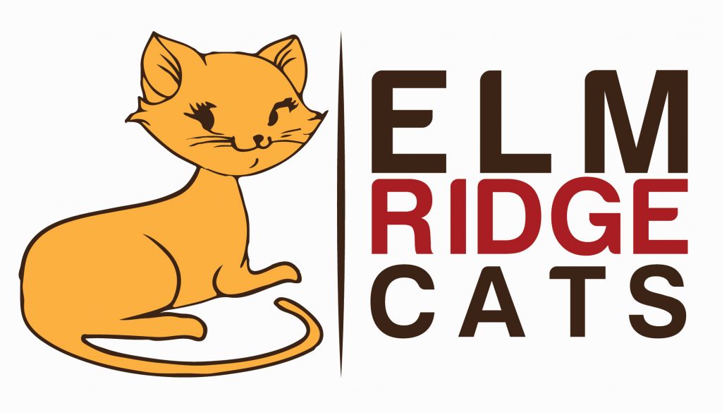 1024x585 What's The Best Wet Cat Food In The Uk Elm Ridge Cats