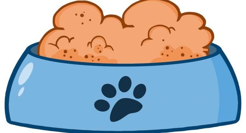830x450 Top 10 Wet Dog Clipart