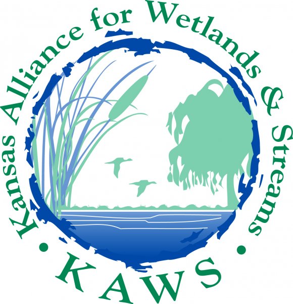 580x600 Sream Clipart Wetland