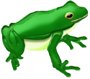 350x306 Wetlands Animals Clipart By Suzibeedesigns Teachers Pay Teachers