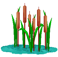 191x187 Wetlands Cliparts