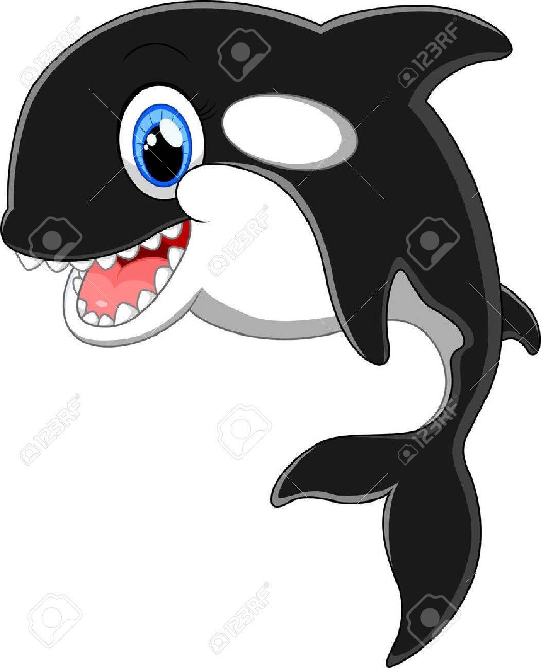 1052x1300 Cartoon Killer Whale Royalty Free Cliparts, Vectors, And Stock