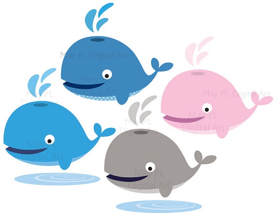570x444 Top 89 Whale Clip Art