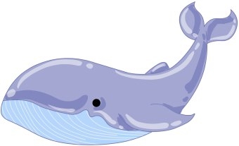 Whale Clipart | Free download on ClipArtMag