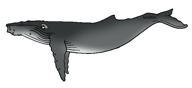 648x297 Whale Clip Art