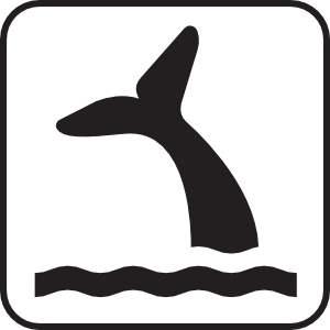 300x300 Whale Viewing White Clip Art