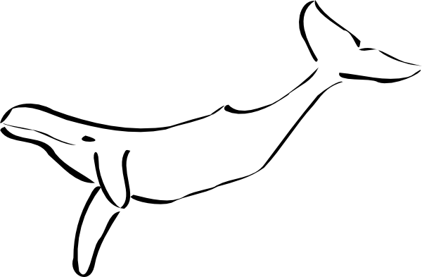 600x393 Whale Clip Art Free Vector